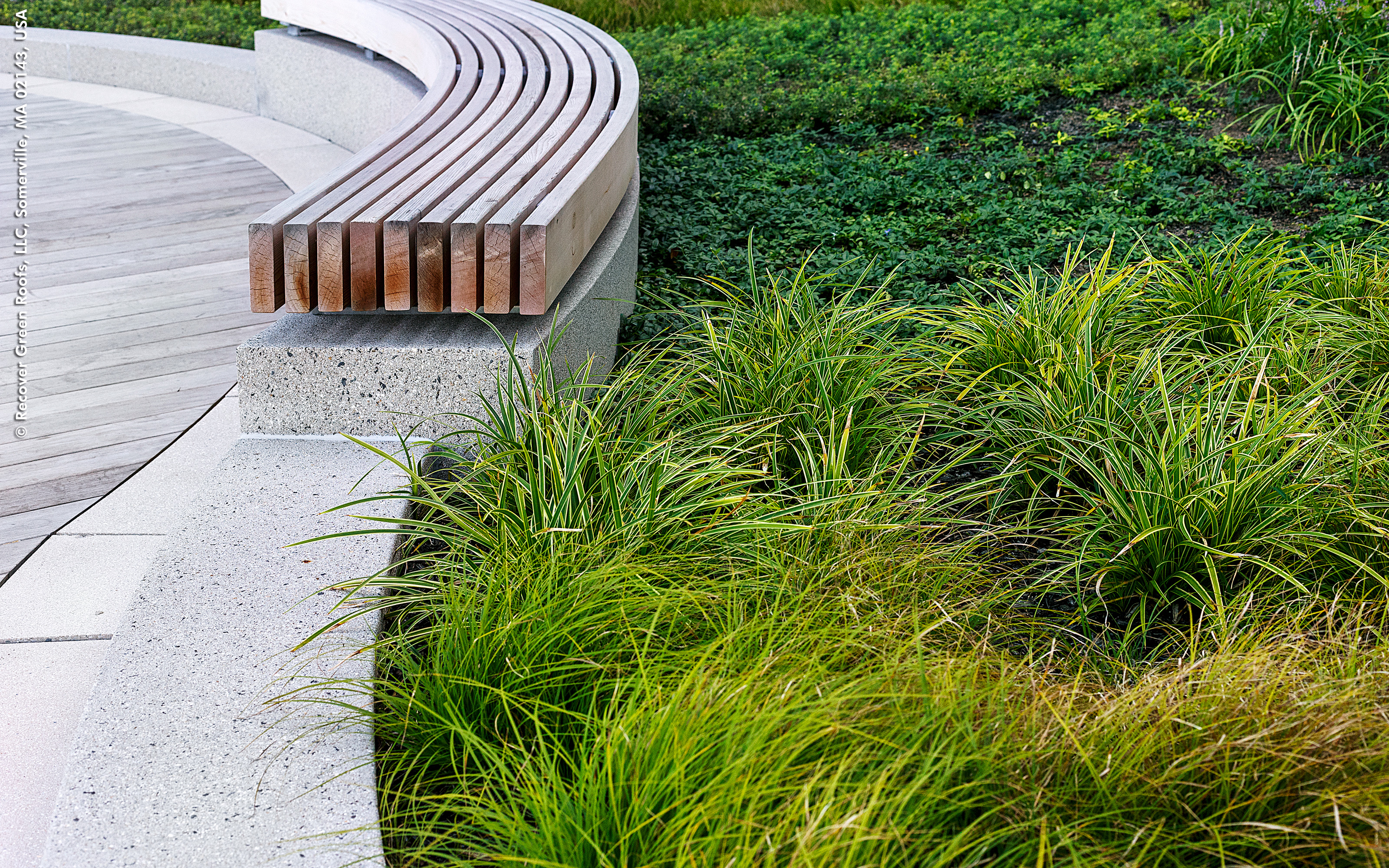 Built-on-site seatwalls are capped with floating cedar slats. Plant bed and curved bench